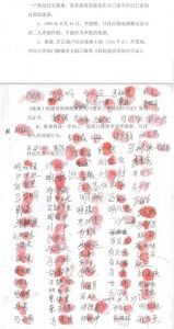 集体开荒地疑被占为私有 小组诉行政机关请求撤证